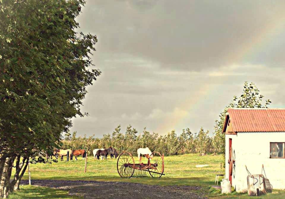 Rauthuskrithur Farm Villa Holmabaeir Eksteriør bilde