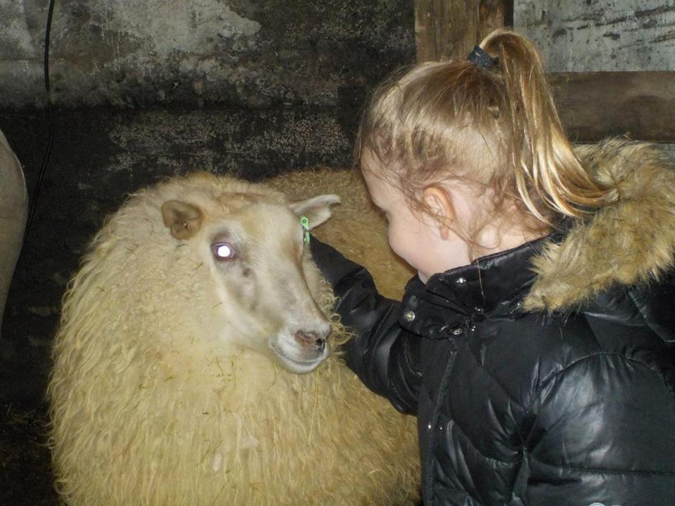 Rauthuskrithur Farm Villa Holmabaeir Eksteriør bilde